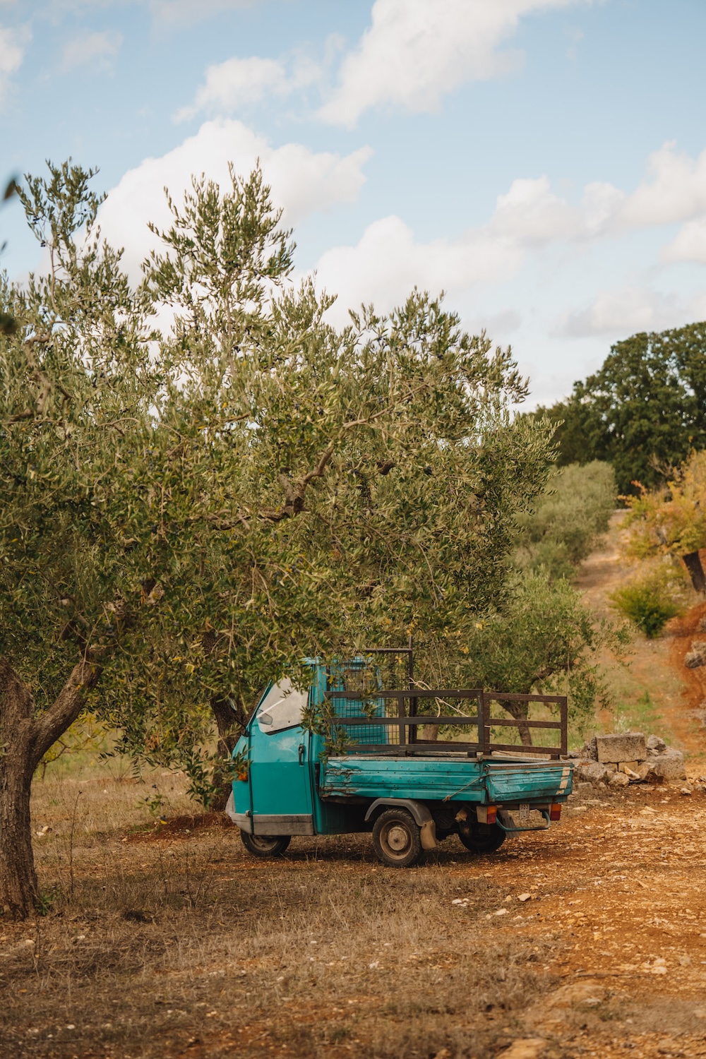 Puglia italy holidays olive oil apulien olivenöl italien roadtrip