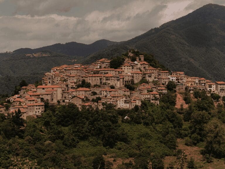 view of the city Tuscany