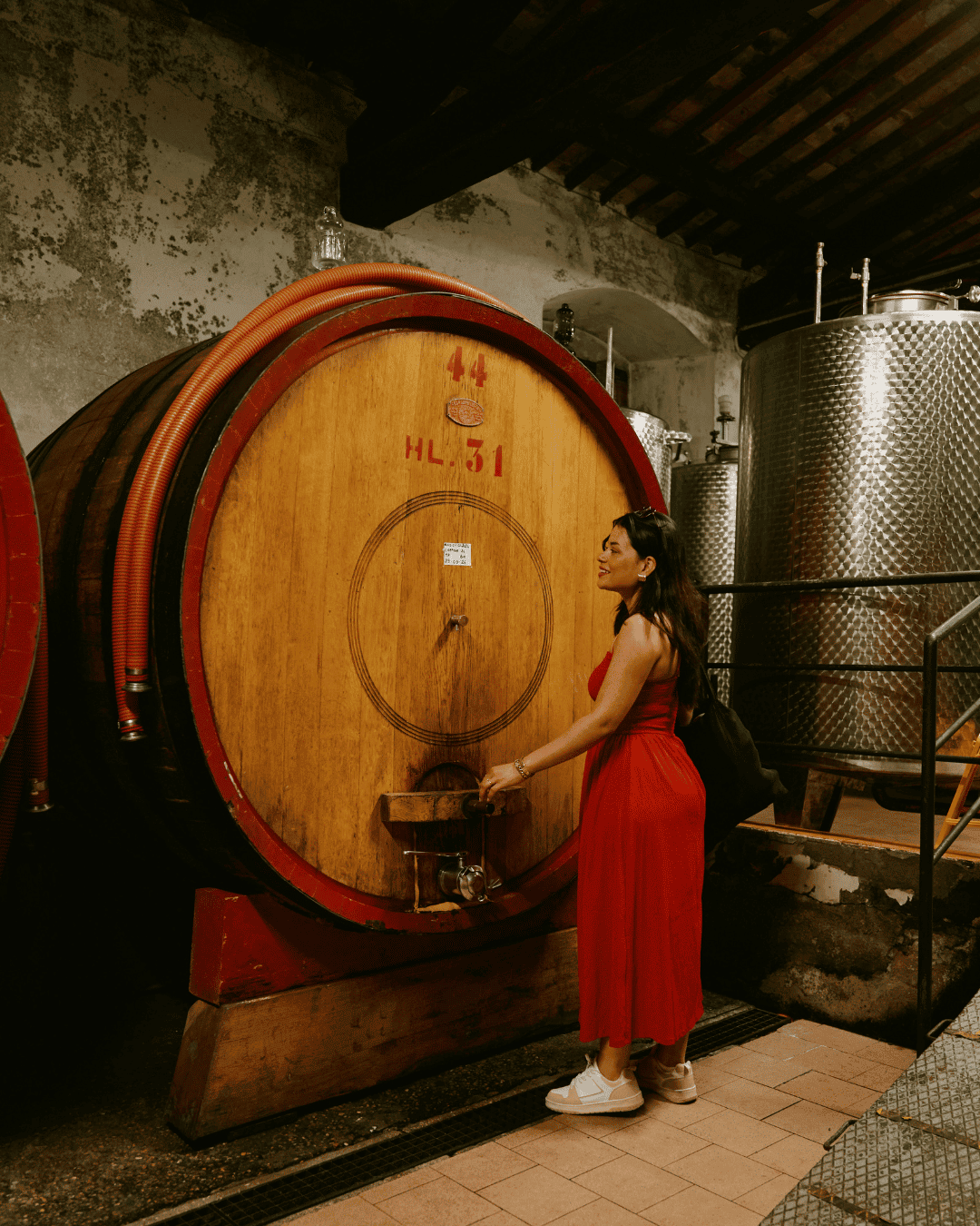 wine tour in wine cellar in Chianti