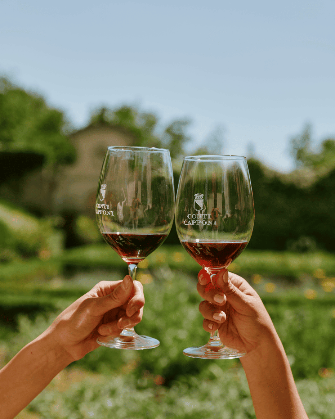 Chianti wines